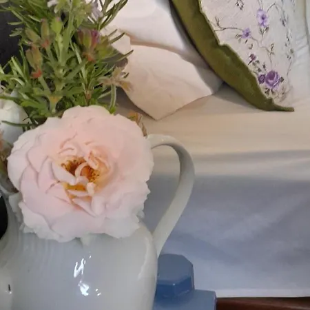 Parachos Trulos 500 Metres From The Sea Appartement *