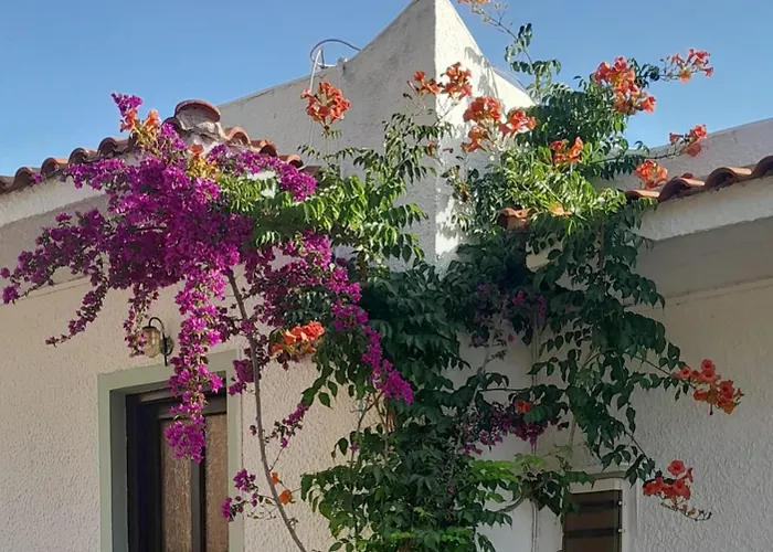 Lejlighed Parachos Trulos 500 Metres From The Sea Skiathos by