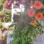 דירה Parachos Trulos 500 Metres From The Sea *