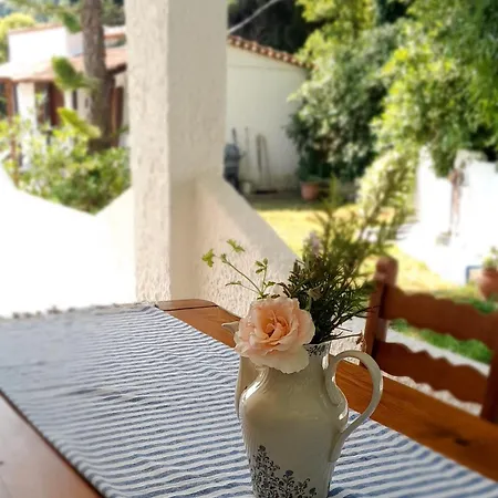 Parachos Trulos 500 Metres From The Sea 公寓 *