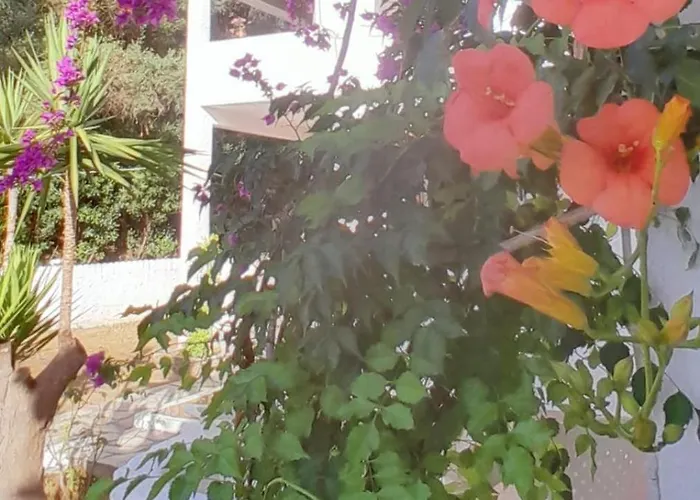 Apartment Parachos Trulos 500 Metres From The Sea *