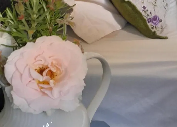 Parachos Trulos 500 Metres From The Sea Apartment *