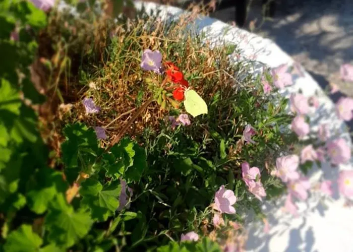 Parachos Trulos 500 Metres From The Sea *