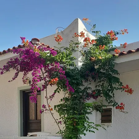 Апартаменты Parachos Trulos 500 Metres From The Sea Скиатос