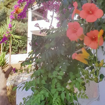 Апартаменты Parachos Trulos 500 Metres From The Sea *