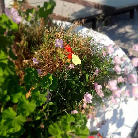 Parachos Trulos 500 Metres From The Sea *